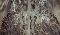 Iris van Herpen a její kolekce Wilderness Embodied