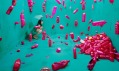 JeeYoung Lee a její instalace podle snů