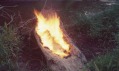 Ana Mendieta: Cyklus Silueta, 1977
