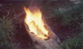 Ana Mendieta: Cyklus Silueta, 1977