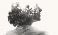 Christoffer Relander a jeho kolekce fotografií We Are Nature