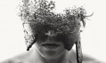 Christoffer Relander a jeho kolekce fotografií We Are Nature