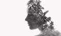 Christoffer Relander a jeho kolekce fotografií We Are Nature