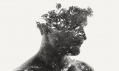 Christoffer Relander a jeho kolekce fotografií We Are Nature