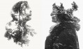 Christoffer Relander a jeho kolekce fotografií We Are Nature