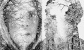 Christoffer Relander a jeho kolekce fotografií We Are Nature