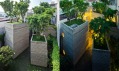 House for Trees od Vo Trong Nghia Architects