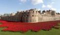 Instalace Blood Swept Lands and Seas of Red v Tower of London