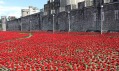 Instalace Blood Swept Lands and Seas of Red v Tower of London