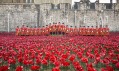 Instalace Blood Swept Lands and Seas of Red v Tower of London