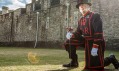 Instalace Blood Swept Lands and Seas of Red v Tower of London