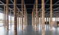 David Chipperfield a jeho Sticks and Stones, an Intervention