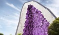 Amethyst Hotel od NL Architects