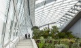 20 Fenchurch Street v Londýně a Sky Garden v posledních patrech