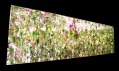 Instalace Floating Flower Garden od studia TeamLab