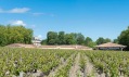 Vinařství Chateau Margaux od studia Foster + Partners