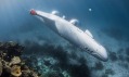Osobní ponorka Super Falcon Mark II