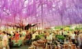 Floriade 2022 od MVRDV