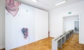 Pohled do expozice výstavy Cena Jindřicha Chalupeckého 2015