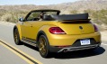 Volkswagen Beetle Dune