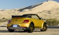 Volkswagen Beetle Dune