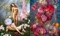 David LaChapelle a ukázka z výstavy Múzy v DSC Gallery