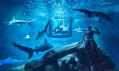 The Shark Aquarium v Paříži od Airbnb