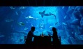 The Shark Aquarium v Paříži od Airbnb