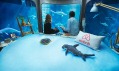 The Shark Aquarium v Paříži od Airbnb