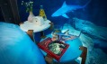 The Shark Aquarium v Paříži od Airbnb