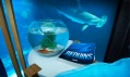 The Shark Aquarium v Paříži od Airbnb