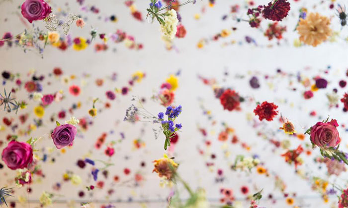 Rebecca Louise Law ozdobila galerii 8 000 květinami