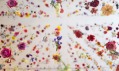 Rebecca Louise Law a jeji instalace The Beauty of Decay v Chandran Gallery