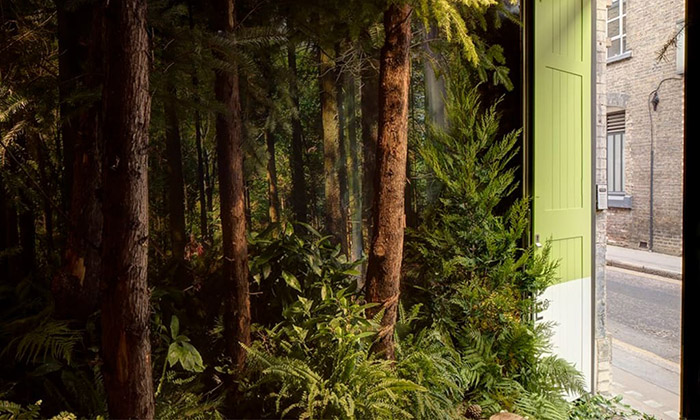 Pantone vytvořilo byt s malým lesem pro Airbnb