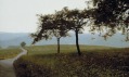 Gerhard Richter: Jabloně - 1987