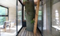 Origin Tree House ve Francii od ateliéru Lavit