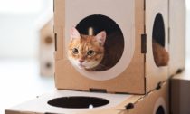 Kartonový modulární nábytek A Cat Thing