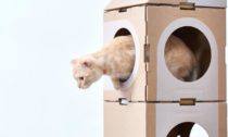 Kartonový modulární nábytek A Cat Thing