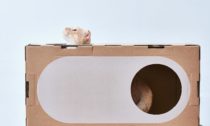 Kartonový modulární nábytek A Cat Thing