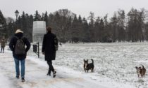 Smog Free Project v polském Krakově