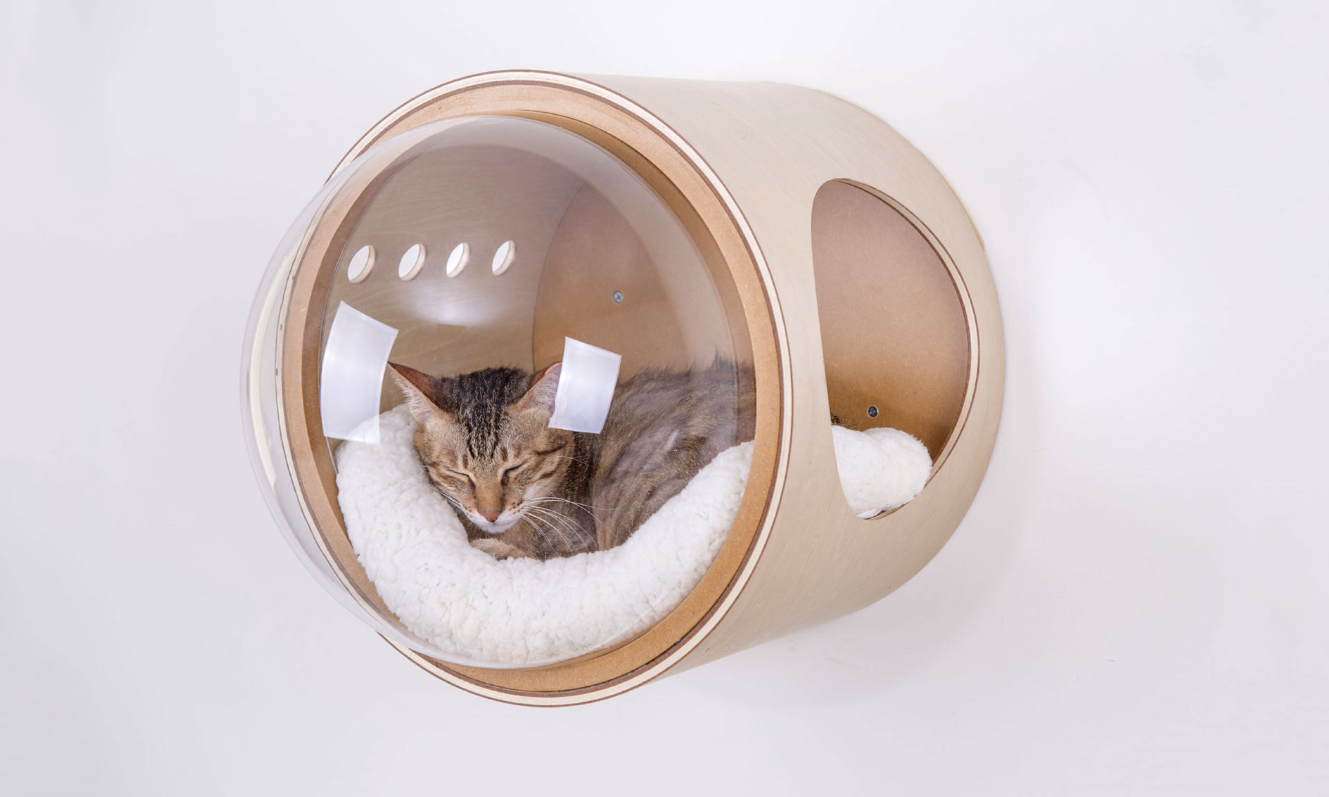 MyZoo Studio navrhuje domečky pro kočky ve tvaru vesmírných lodí