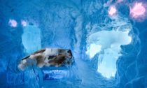 IceHotel 29 ve švédském Jukkasjärvi