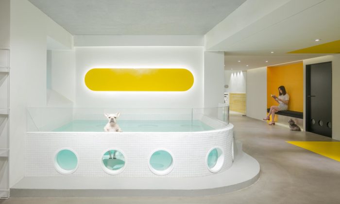 Nova Pets je salón s bazénem pro domácí mazlíčky i kavárnou pro páníčky