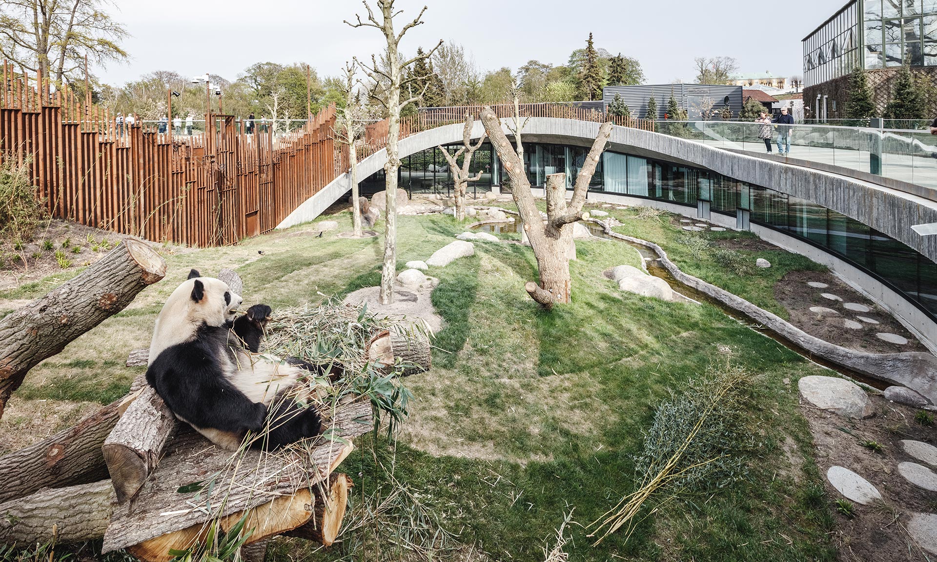 Kodaňská zoo otevřela pavilon pro pandy od BIG ve tvaru jin a jang