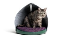 Kolekce Feline Furniture od Layer pro Cat Person