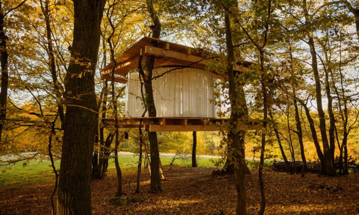 Na stromě v Hrusicích vyrostl dům s 360stupňovým výhledem do přírody