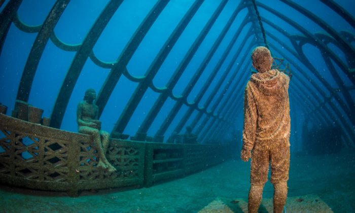 U australských břehů vyrostlo podmořské muzeum s korálovým skleníkem a sochami