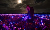 Studio Roosegaarde a instalace Grow