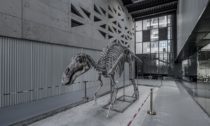 Yingliang Stone Natural History Museum od Atelier Alter Architects