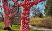 Yayoi Kusama a ukázka za výstavy Cosmic Nature